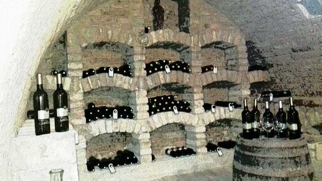 Ubytovani U Malinkovicu Břeclav Εξωτερικό φωτογραφία